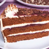 PRIEST BLACK FOREST GATEAU 14CUT- 2X1.59KG
