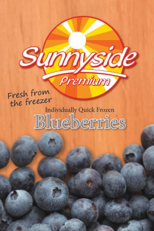 SIMPED FROZ. BLUEBERRIES 12X1KG