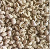 PASTA MIA POTATO GNOCCHI 5X1KG
