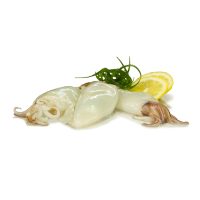 A&T WHOLE CLEANED SQUID 10/20 10X1KG