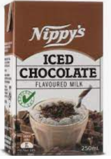 NIPPYS CHOCOLATE 24X250ML
