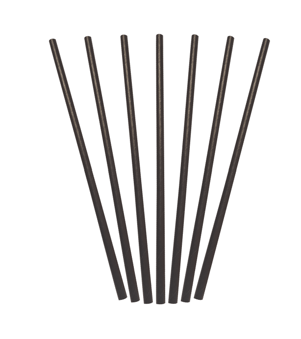 BIOPAK BIO STRAW REGULAR BLACK - 10SLV X 250PC