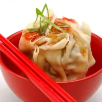 HAKKA CHICKEN DIM SIMS LGE 48X110G
