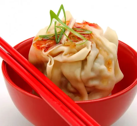 HAKKA CHICKEN DIM SIMS LGE 48X110G