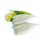 TOP SAIL SQUID TUBE U7 1X5KG