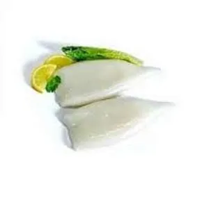 TOP SAIL SQUID TUBE U7 1X5KG