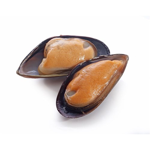 PACIFIC WEST MUSSELS 1/2 SHELL TALLEYS 12X1KG
