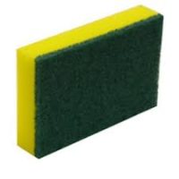 GREEN/YELLOW SCOURER SPONGE  1X10