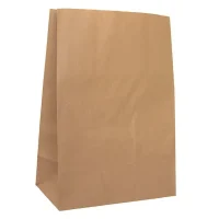 BAG PAPER BROWN #20 430X295MM - 1X250