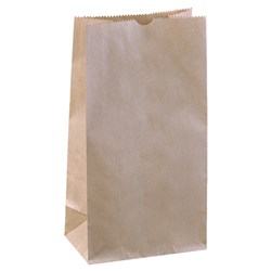 DEPAK LONG PAPER BAG 238x202mm 2PAK X 500PC #A121S0001A #1 LONG