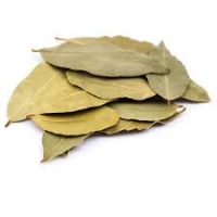 OMEGA BAY LEAVES 1X100G